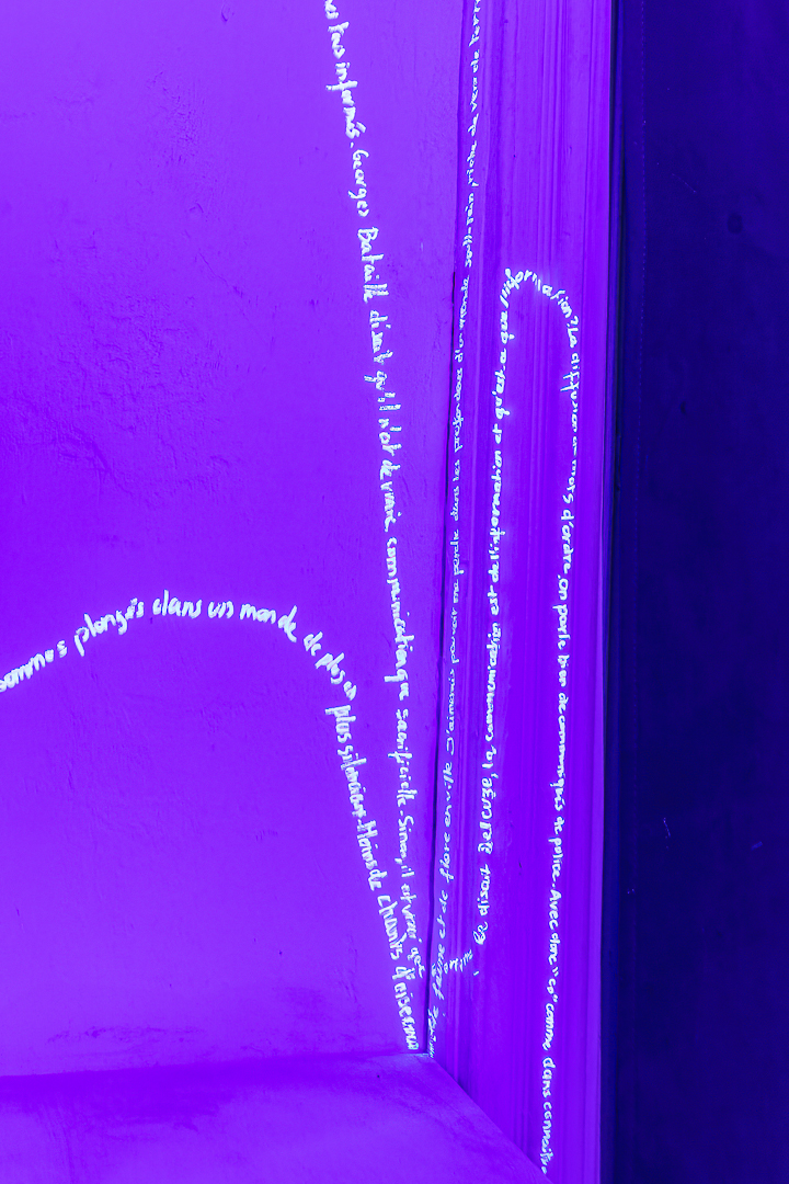 5.5 Parlure (2.32), Lidwine Rupp Gallery, La cale (92), 28.02.2024 ©Mélanie Compagnin